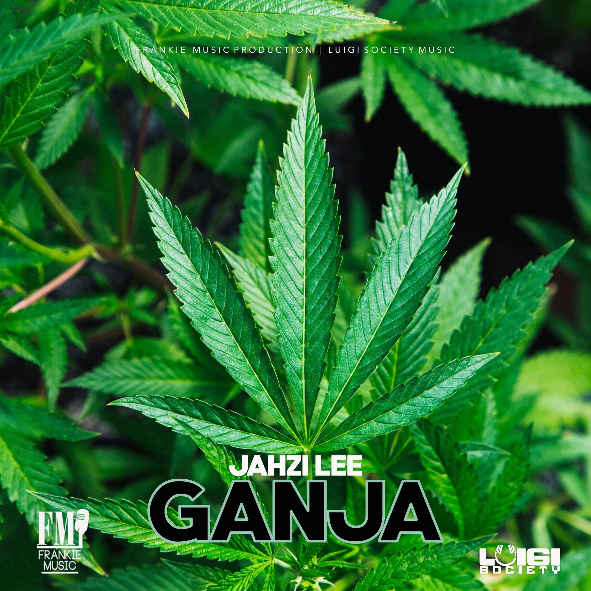 邦楽 The Boom Ganja Gun / Smoke A De Ganja BoB MaRleY-GANJA GUN Music Video(A TRIBUTE) - YouTube