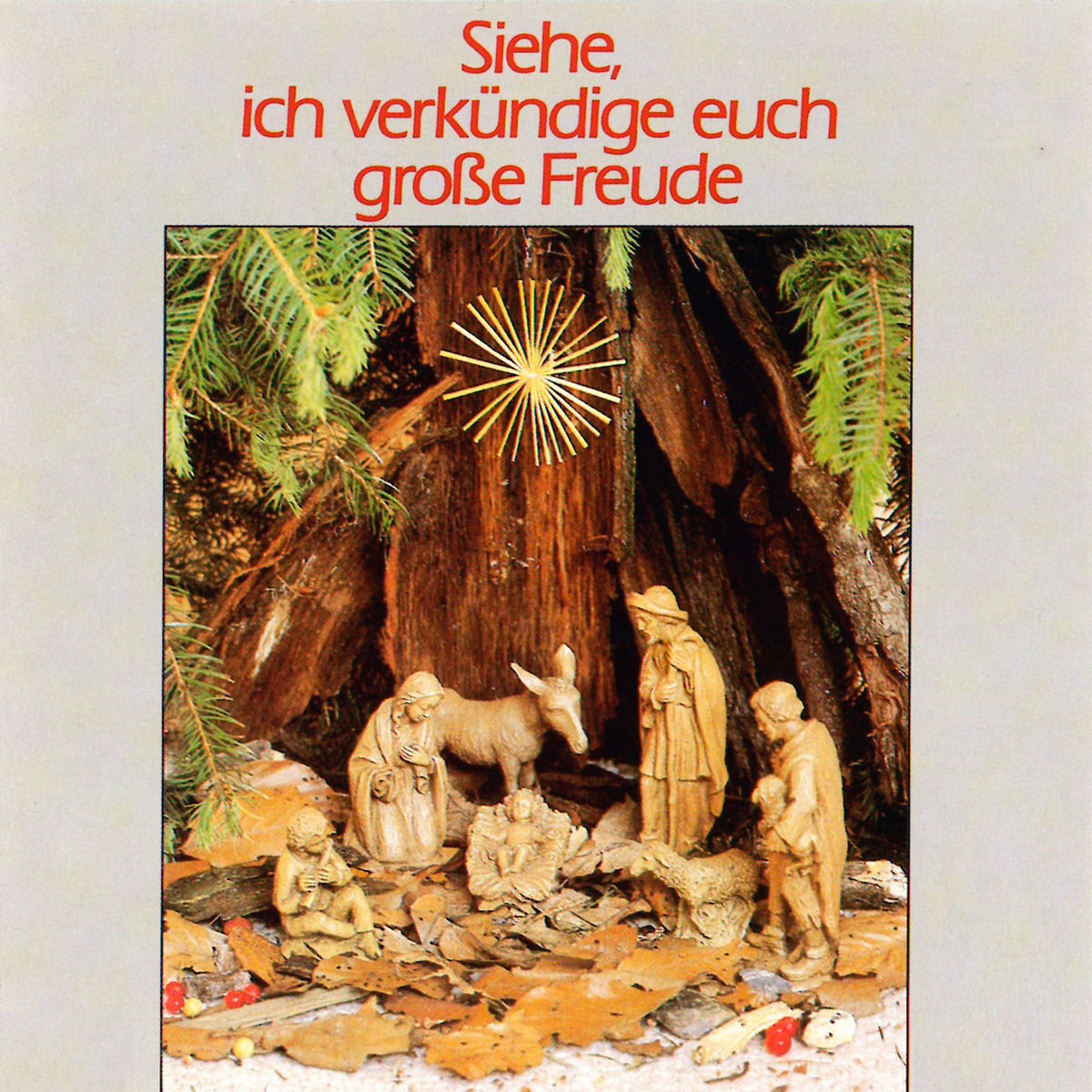 Album cover of Siehe, ich verkündige euch große Freude