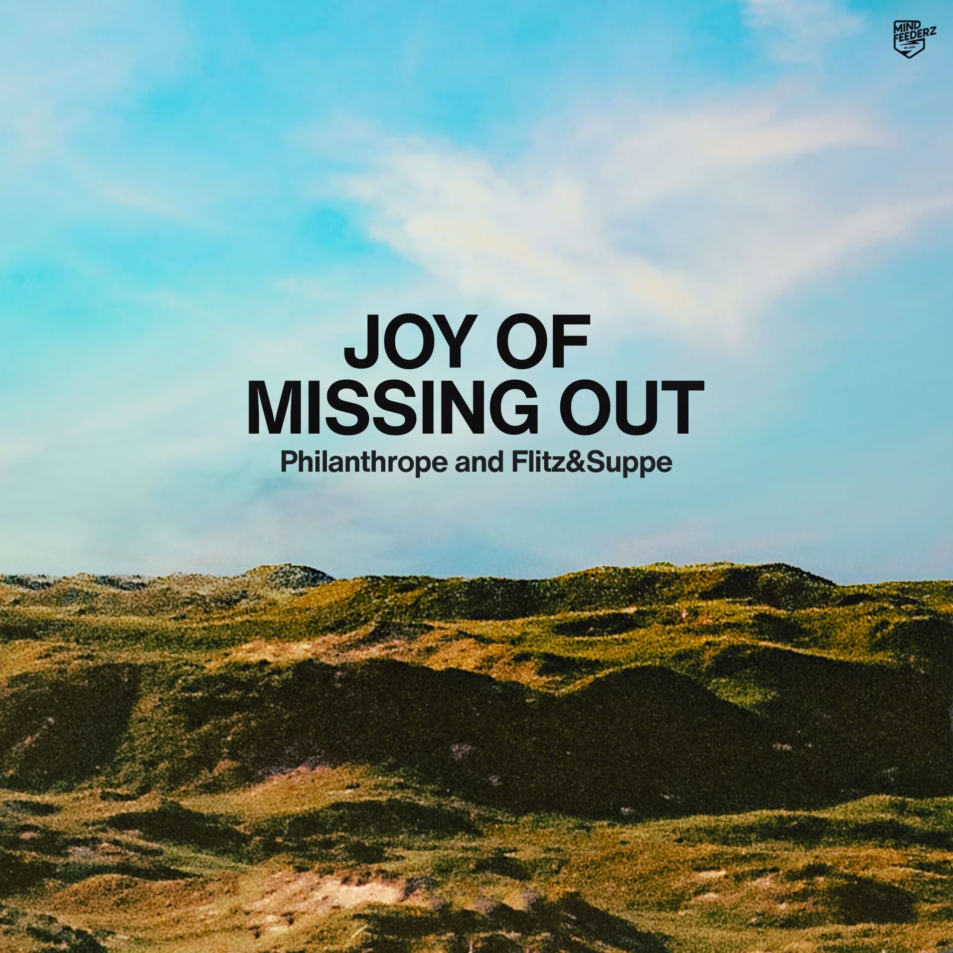 Album cover of Joy Of Missing Out