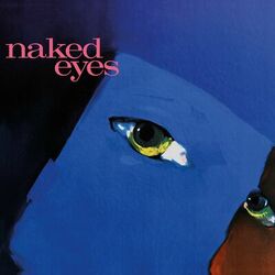 Cover of Naked Eyes