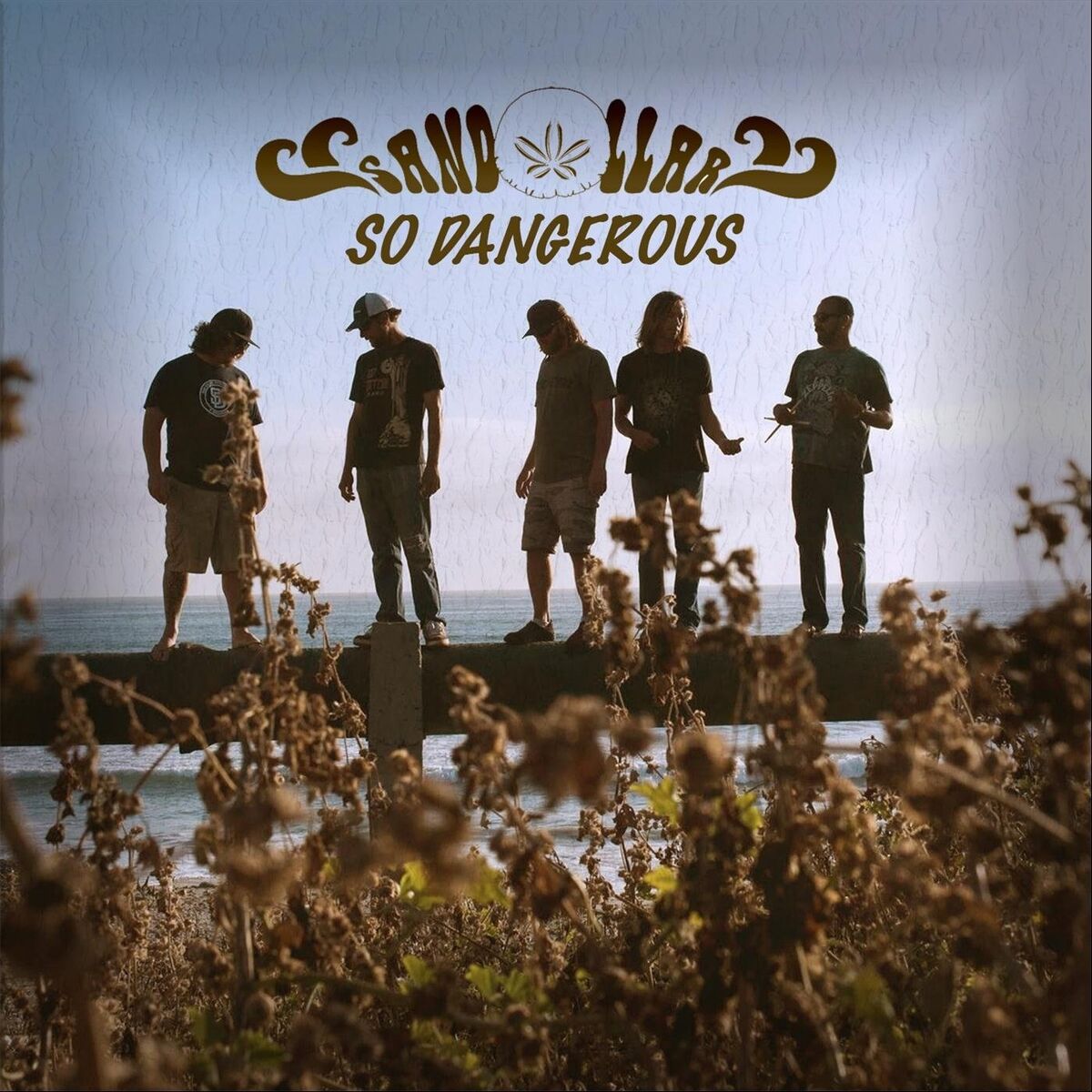 Album cover of So Dangerous