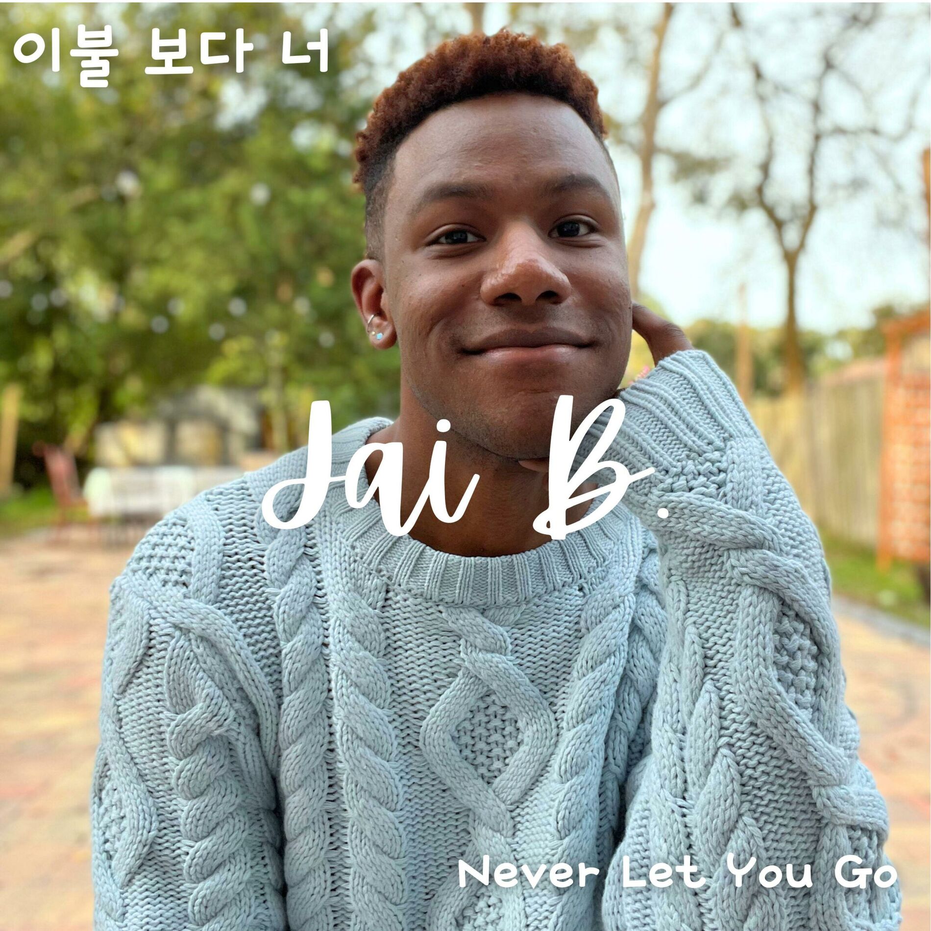 Album cover of Never Let You Go