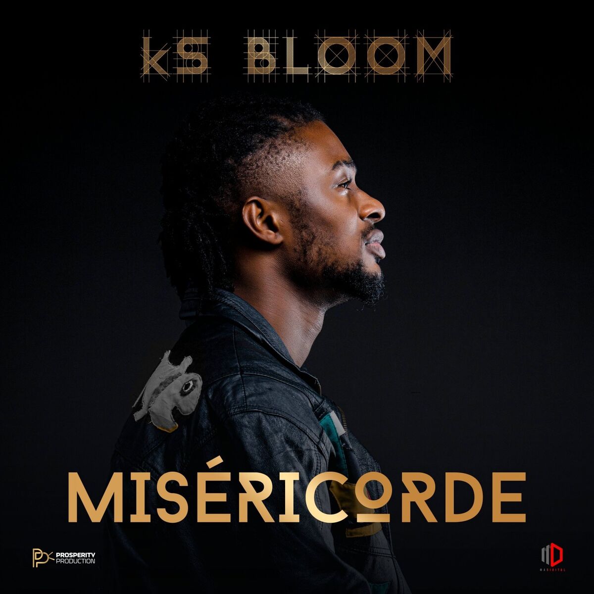 Album cover of Misericorde