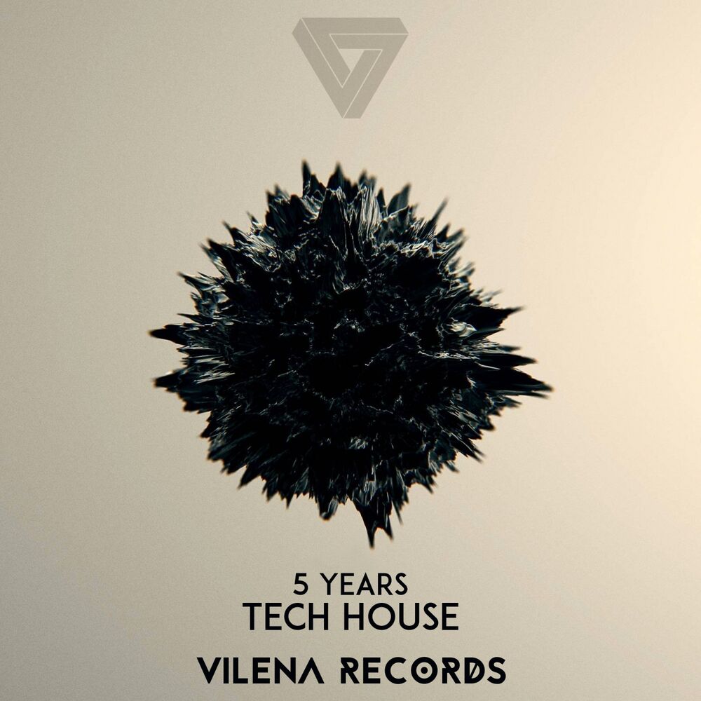 Picture of 5 Years Vilena Records Part 2