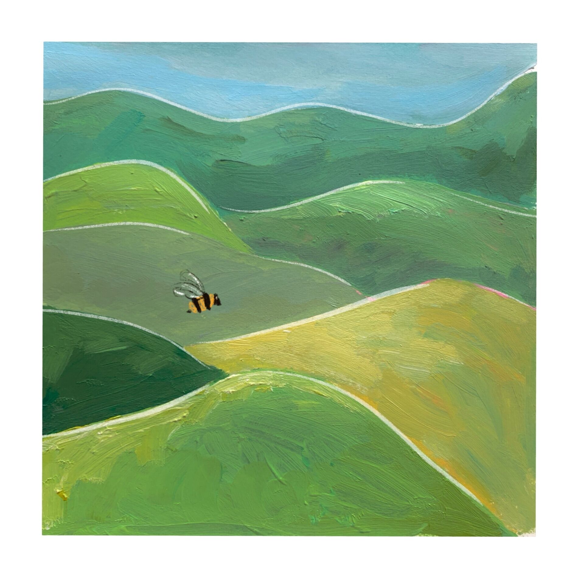 Album cover of Loma