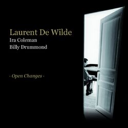 Cover of Open Changes