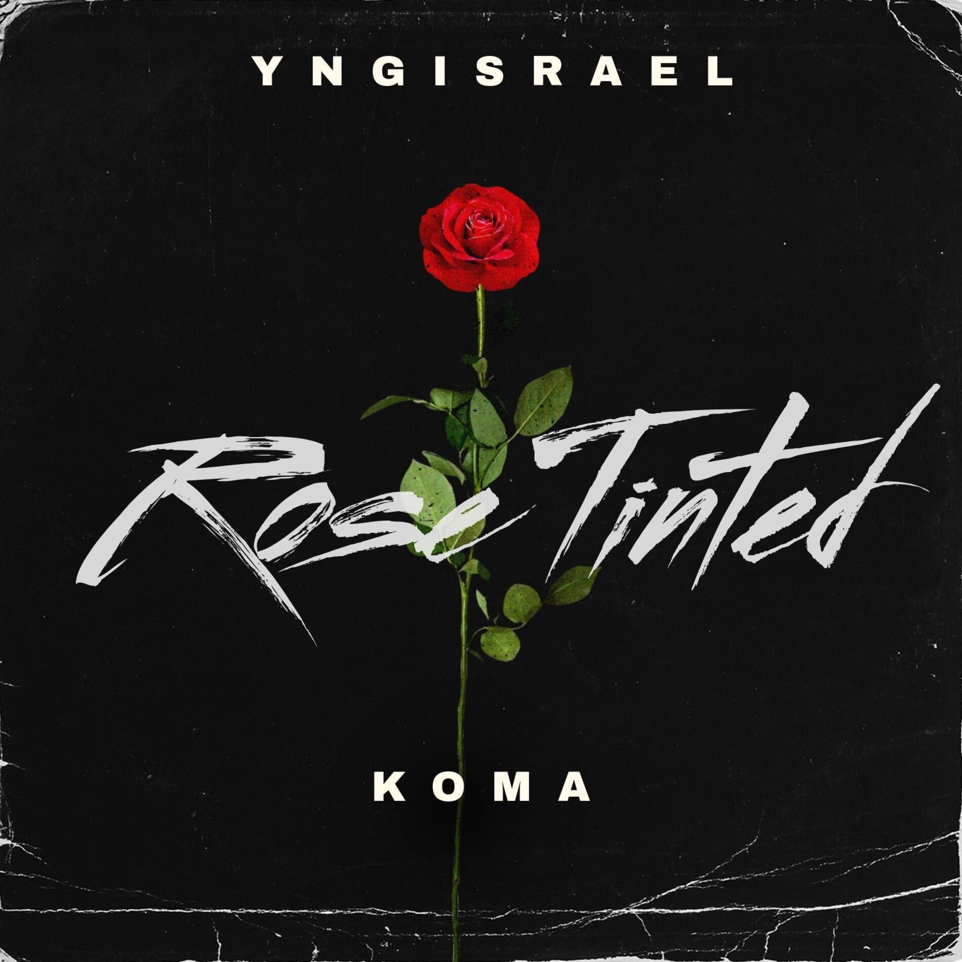 Album cover of Rōse T!nted