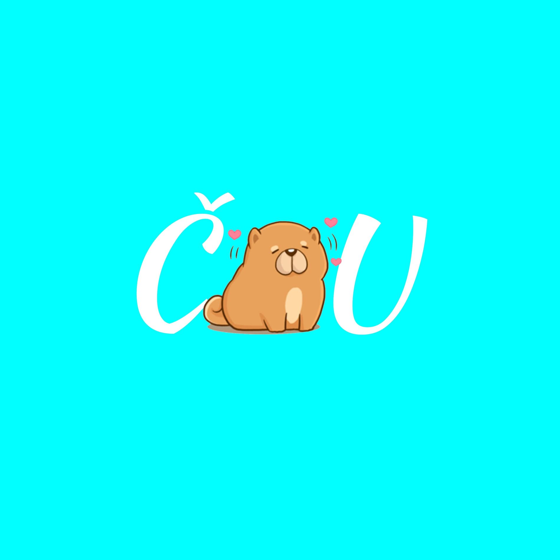 Album cover of Čau