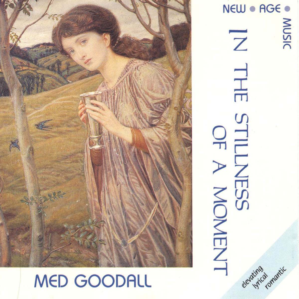 Album cover of In the Stillness of a Moment