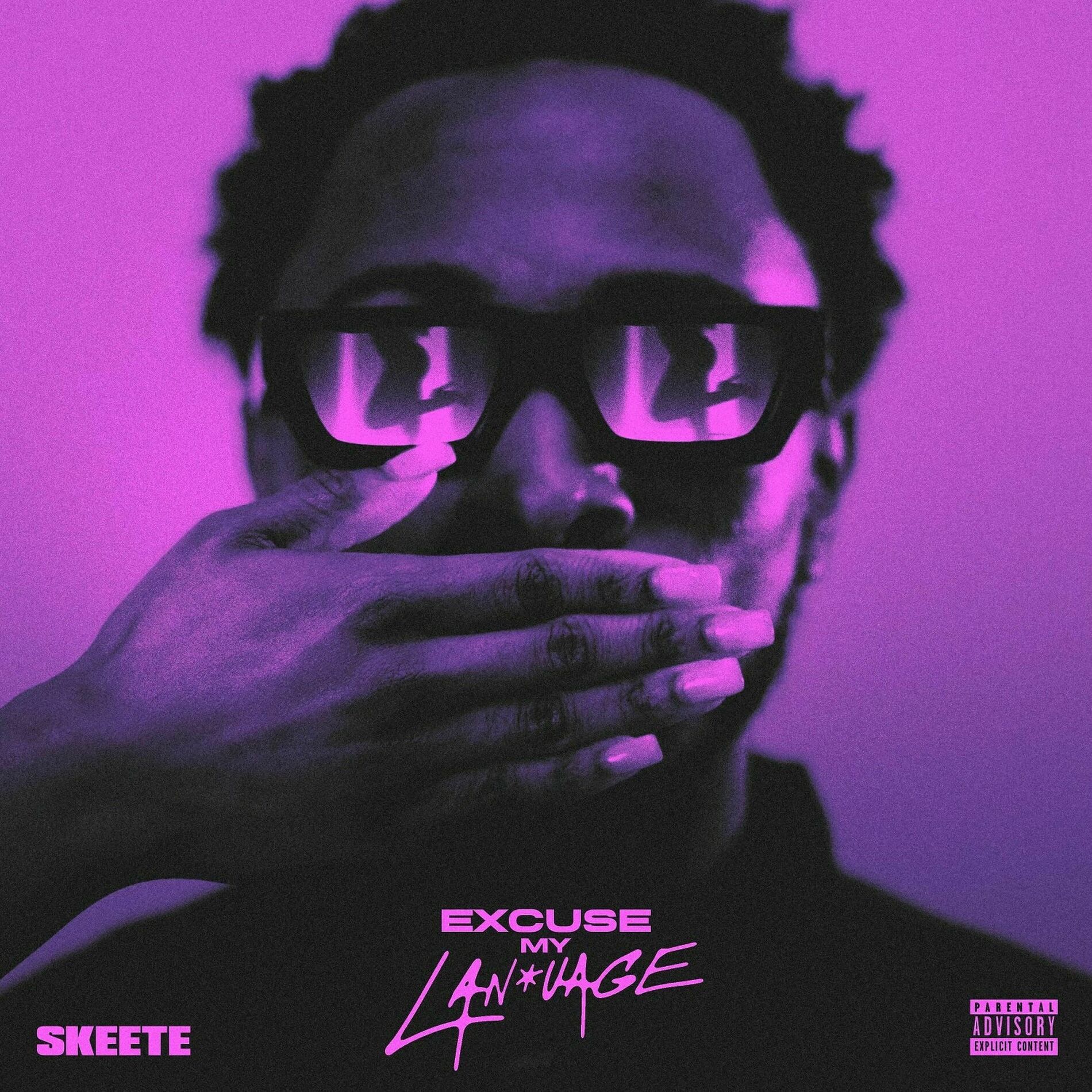 Album cover of Excuse My Language