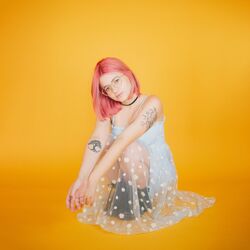 Cover of reasons to stay alive