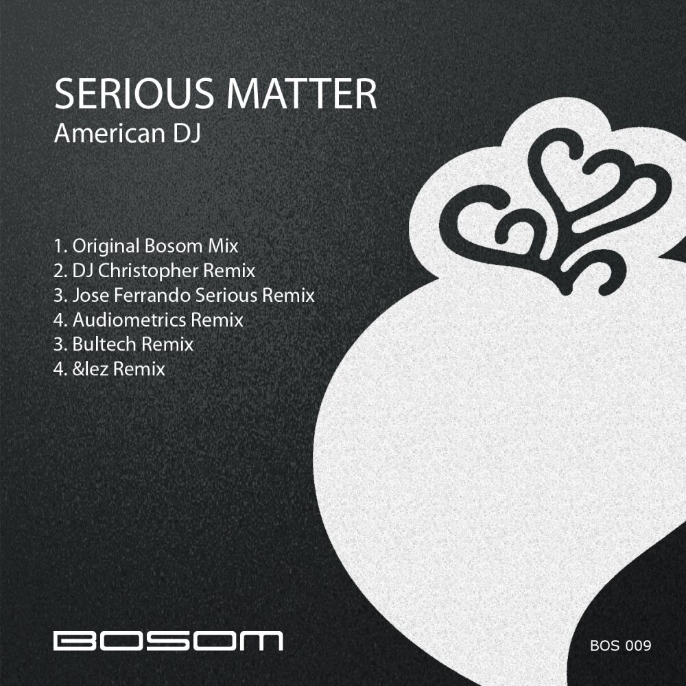 Picture of Serious Matter
