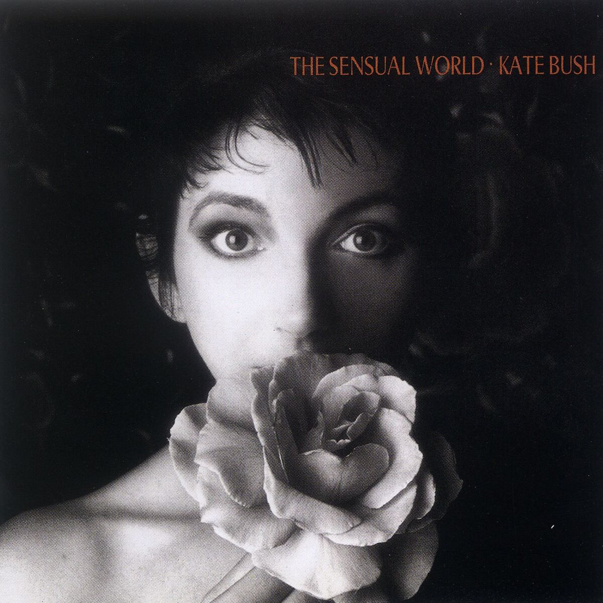 Album cover of This Woman's Work