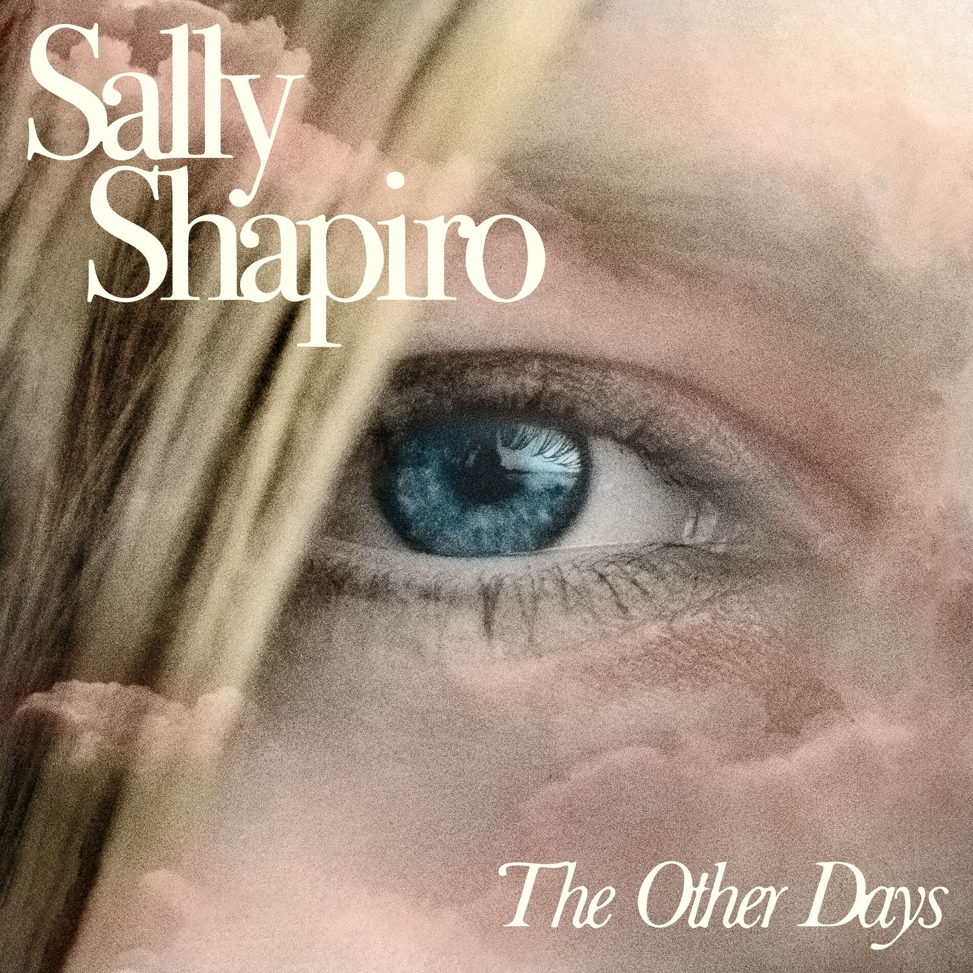 Album cover of The Other Days