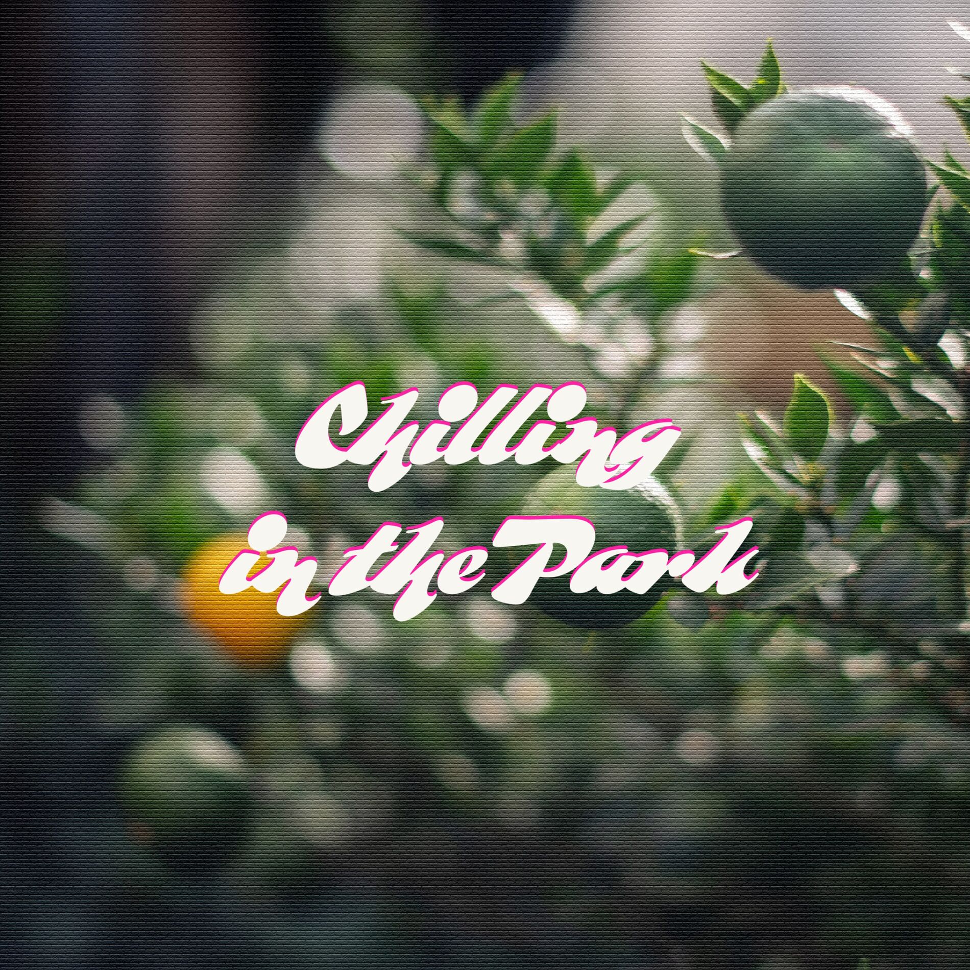 Album cover of Chilling in the Park