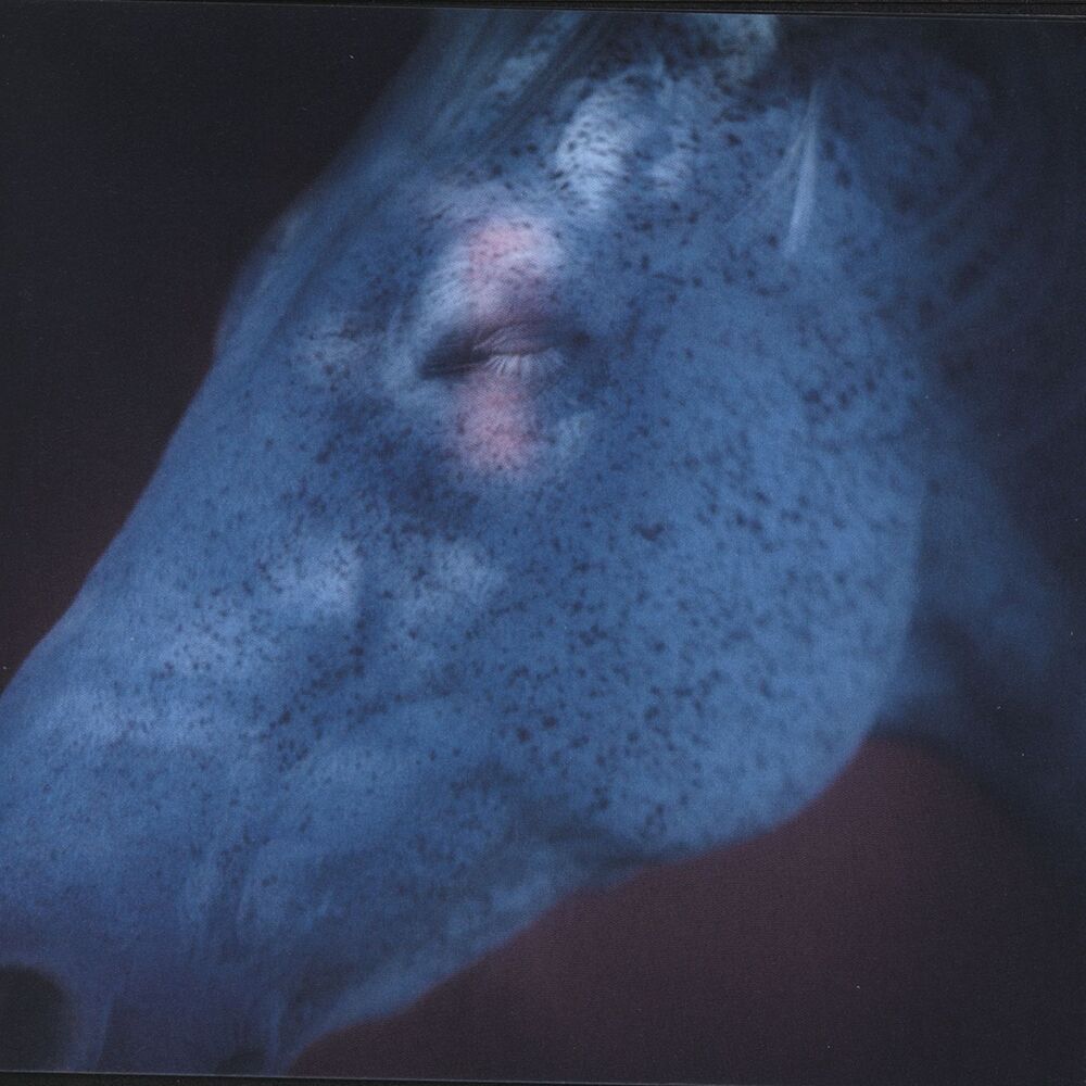 Picture of Enkidu