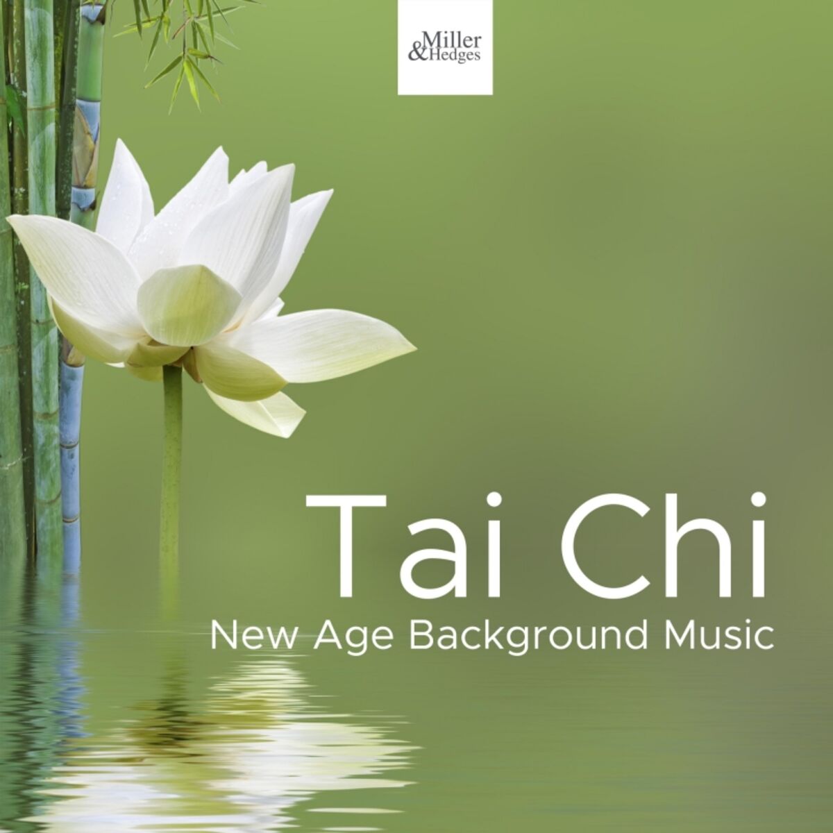 Album cover of Tai Chi - New Age Background Music for Deep Relaxation Exercises