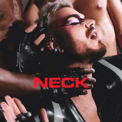 Cover of NECK