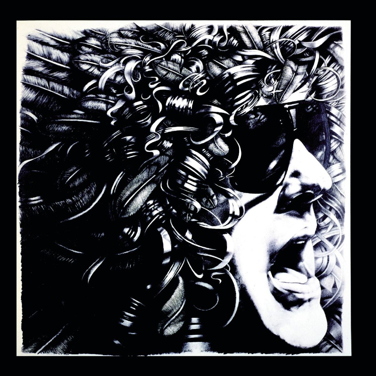 Album cover of Overnight Angels