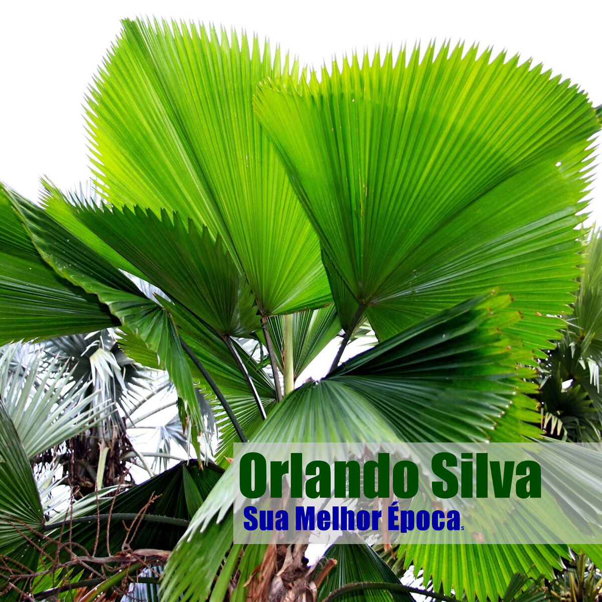 Album cover of Sua Melhor Época