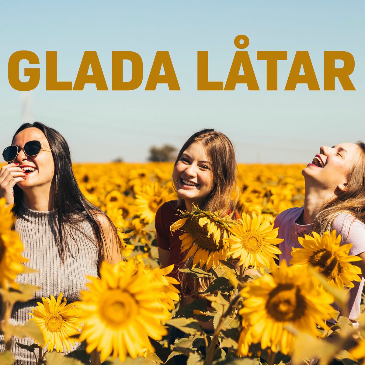 Album cover of Glada Låtar