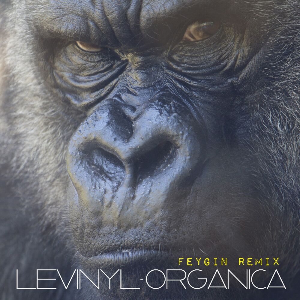 Picture of Organica (Feygin Remix)