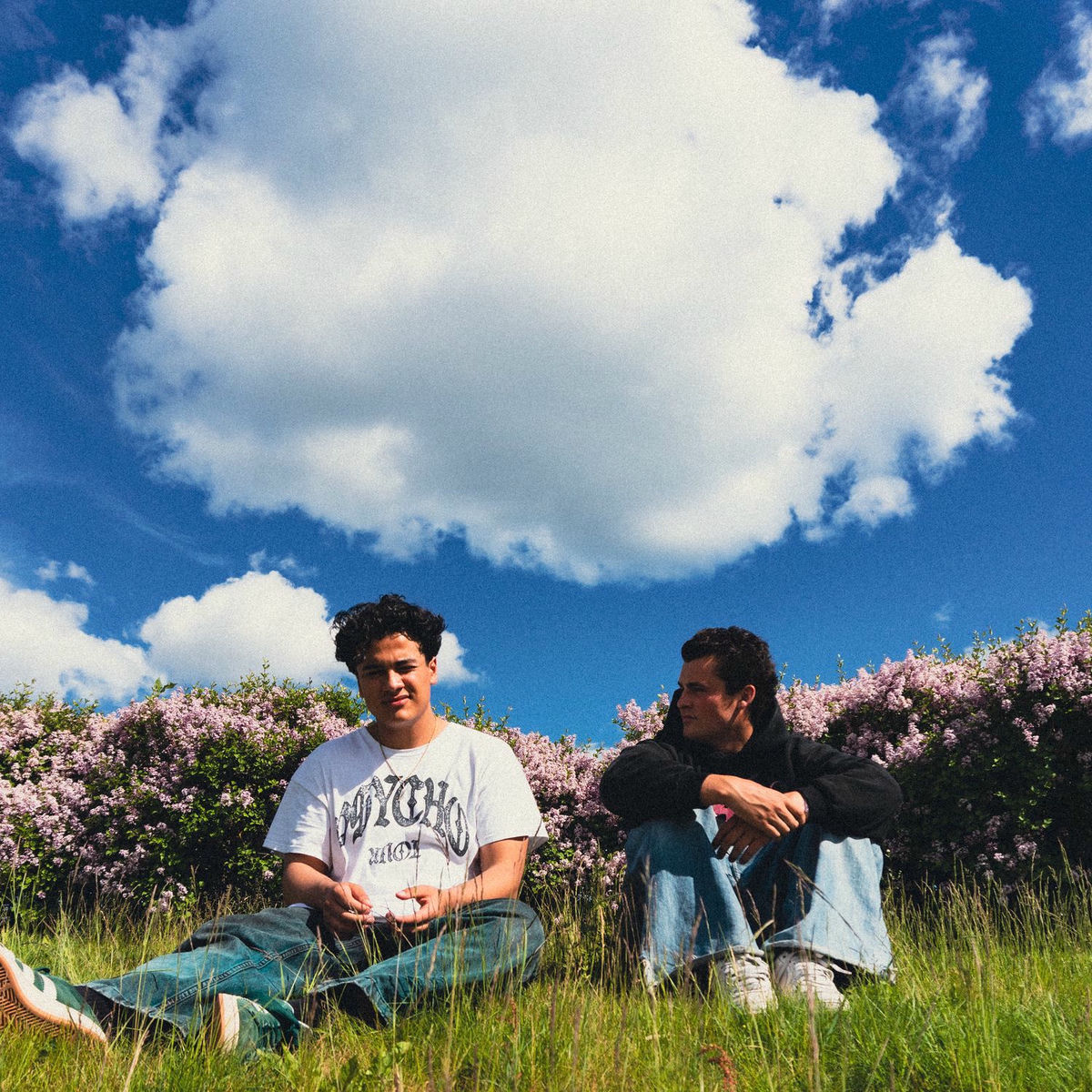 Album cover of Farger