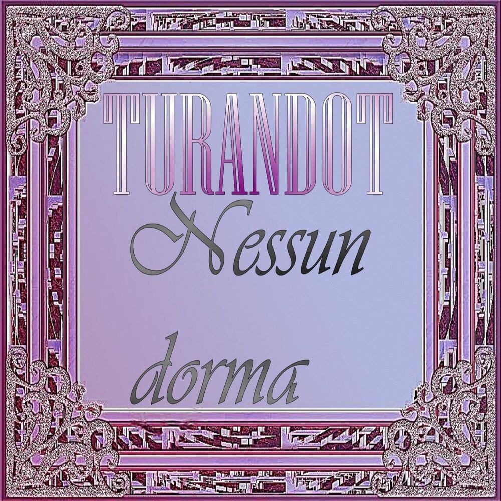 Picture of Nessun dorma