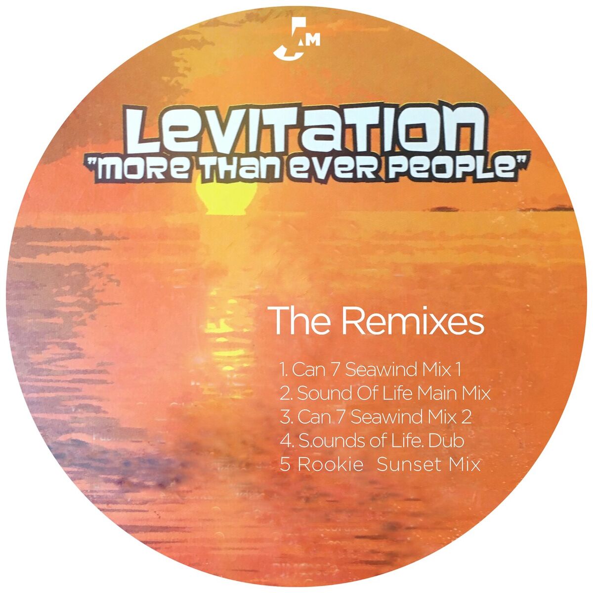 Album cover of More Than Ever People (The Remixes)