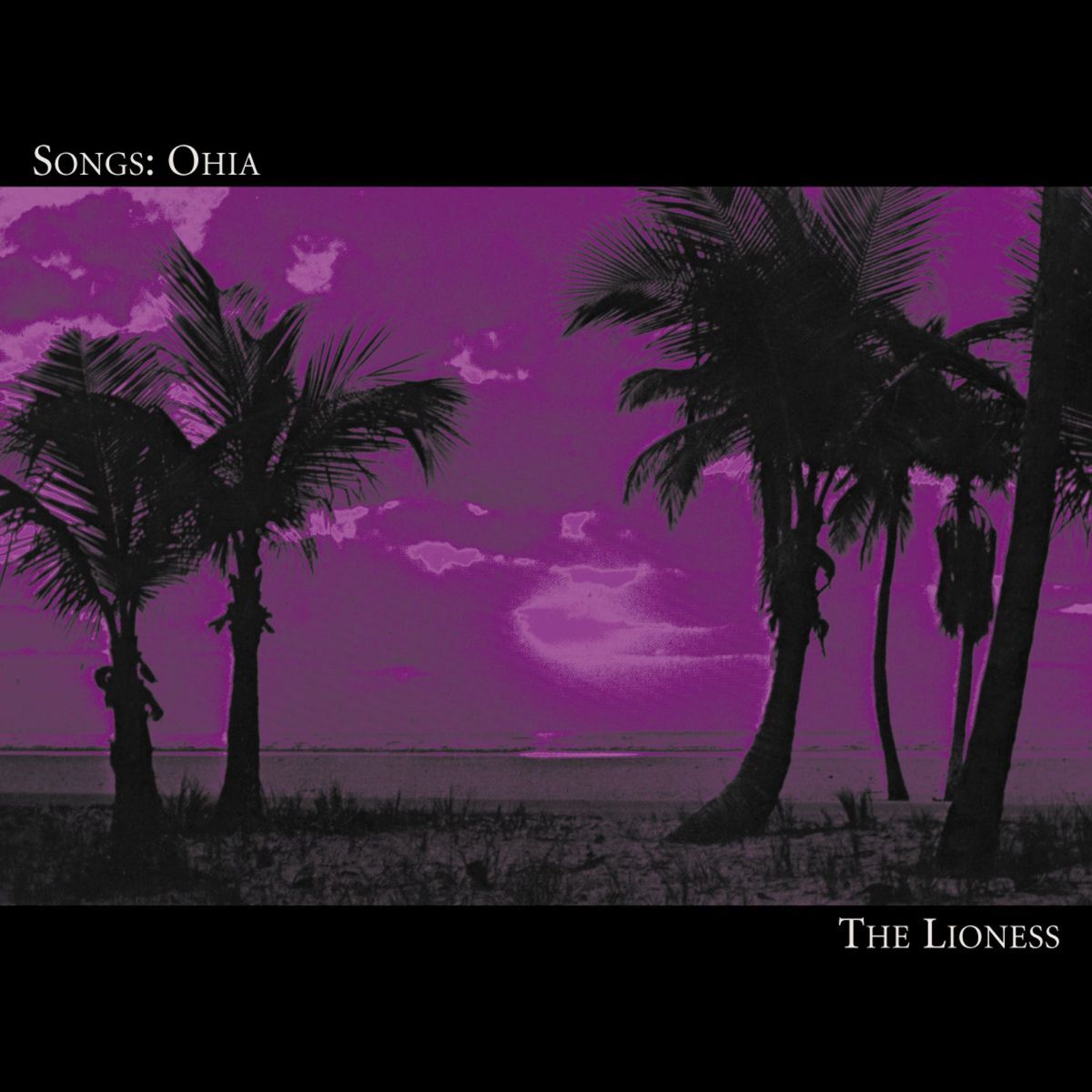 Album cover of Lioness