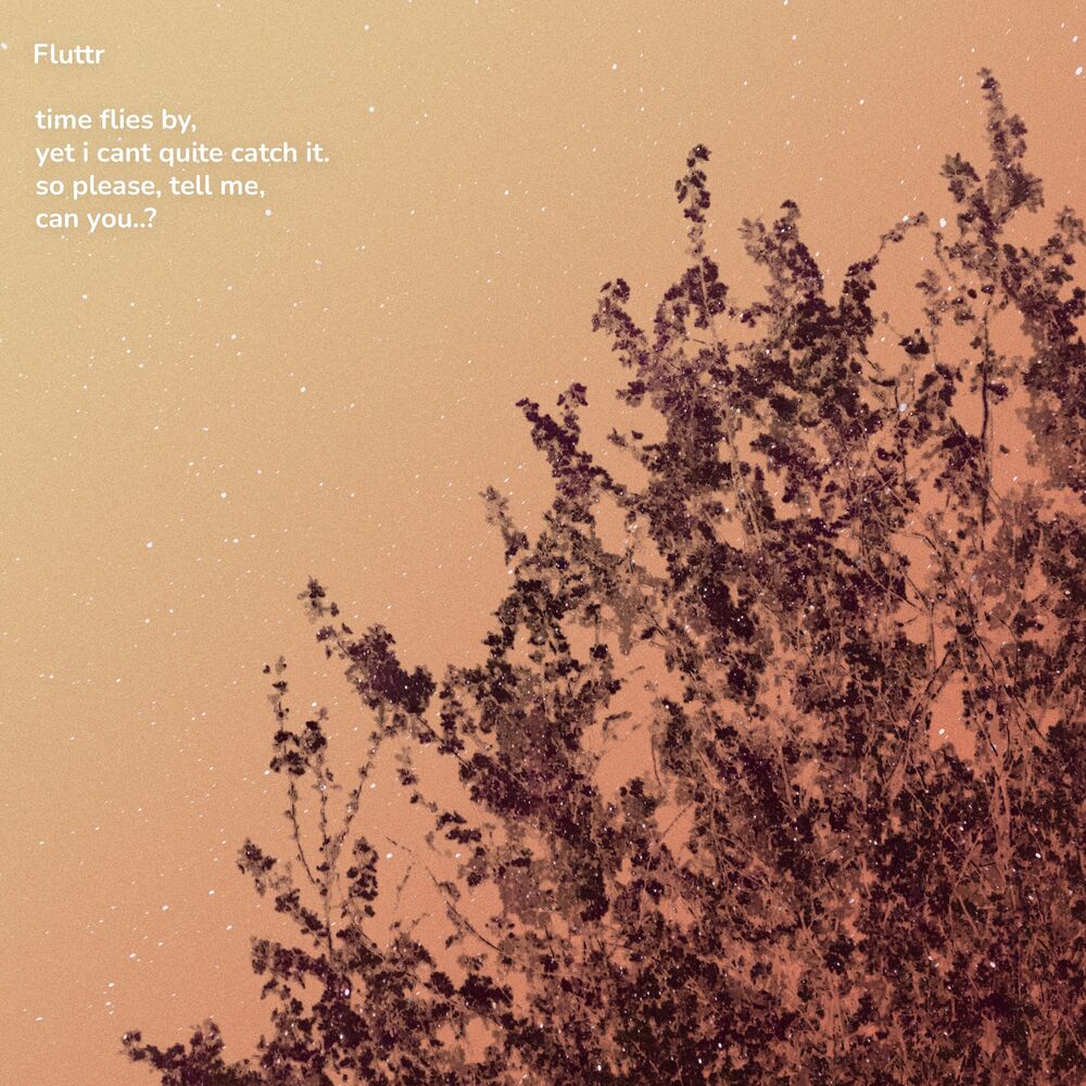 Picture of Time Flies By, yet I Cant Quite Catch It. So Please, Tell Me, Can You..?