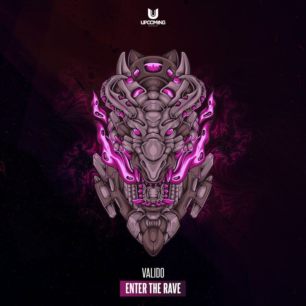 Picture of Enter The Rave