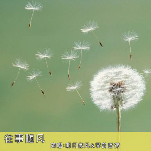 往事随风