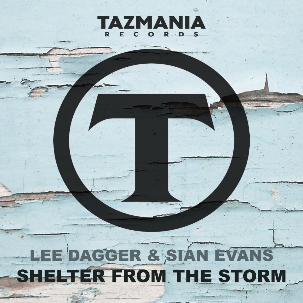 Picture of Shelter From The Storm