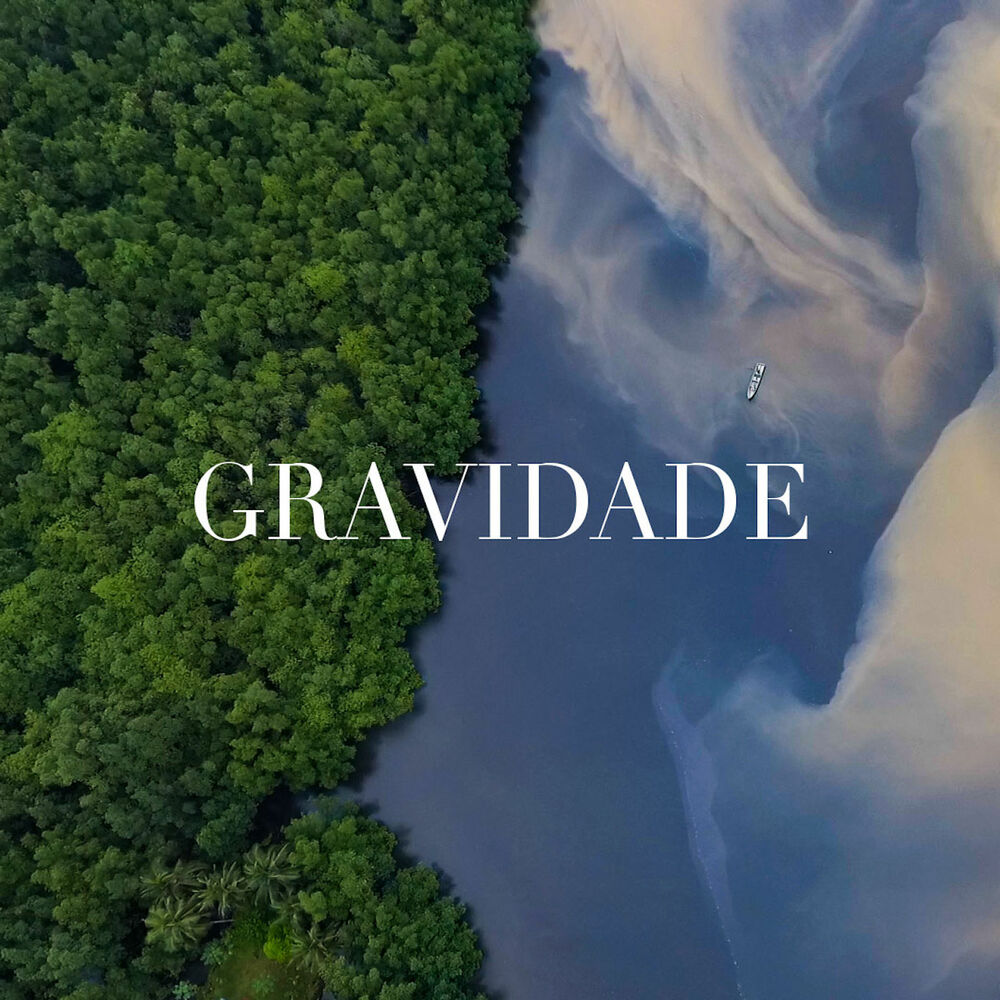 Picture of Gravidade