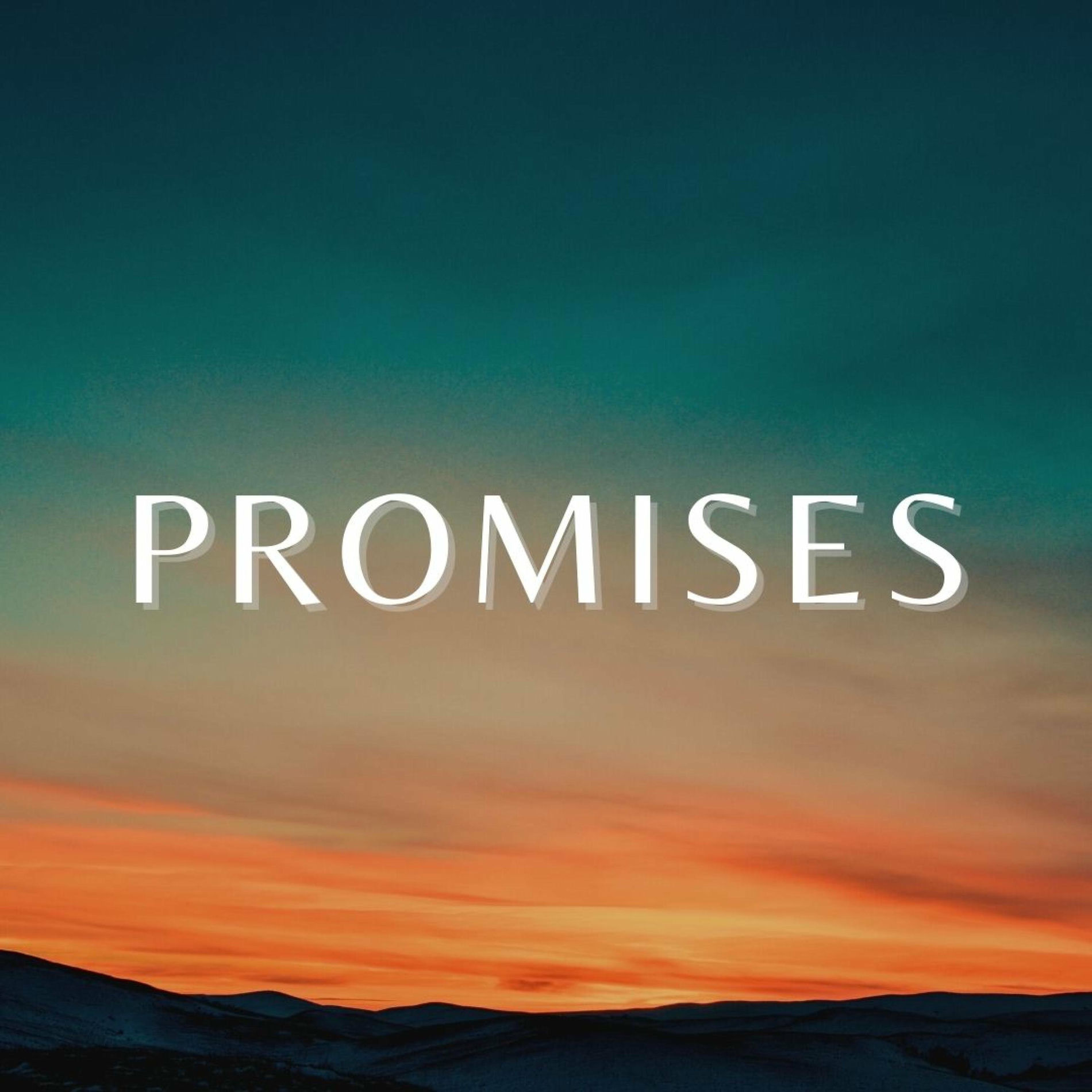 Album cover of Promises (Instrumental)