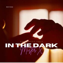 Cover of In The Dark
