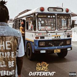 Cover of Different