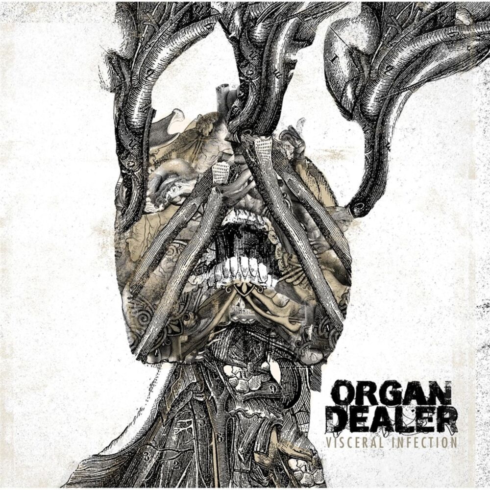 Picture of Visceral Infection