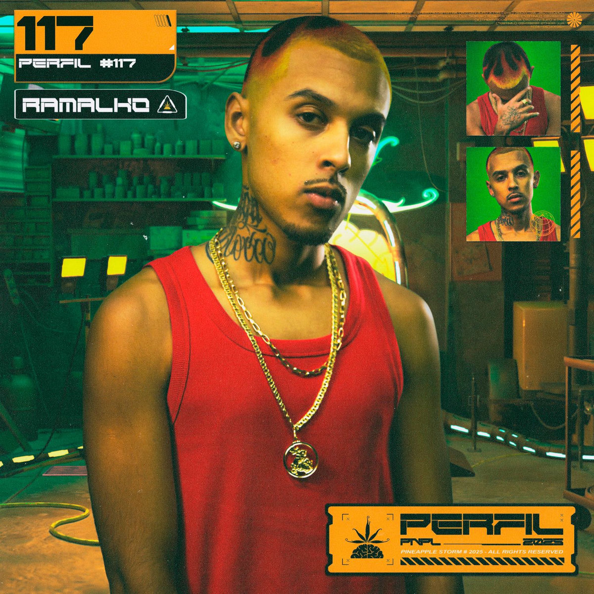 Album cover of Perfil #117 - Ano LíriCu