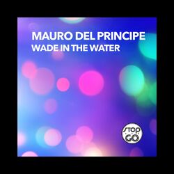 Cover of Wade in the Water