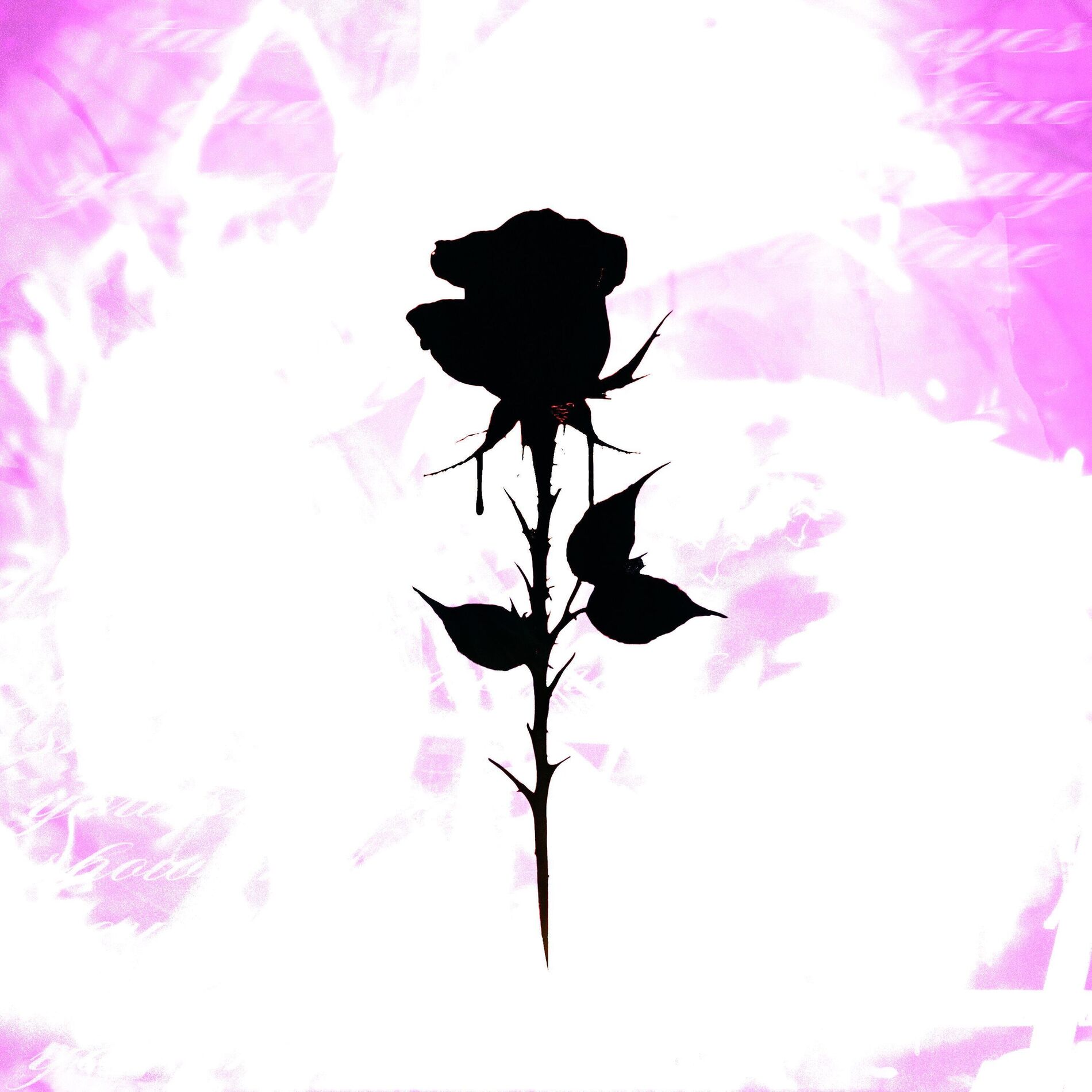 Album cover of show me