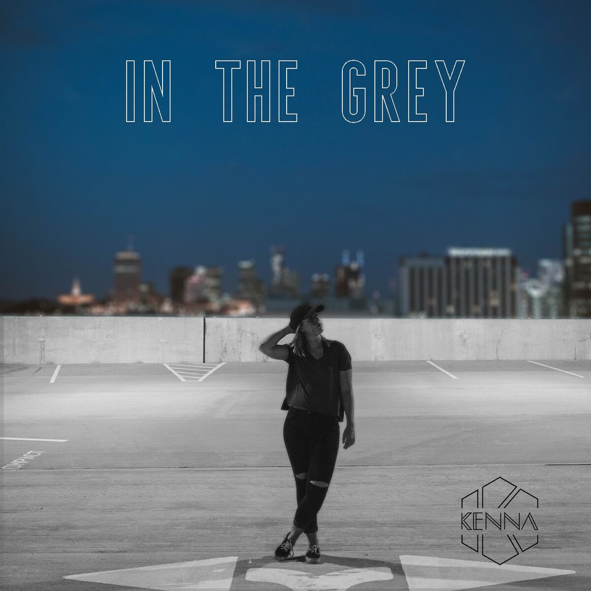 Album cover of In the Grey