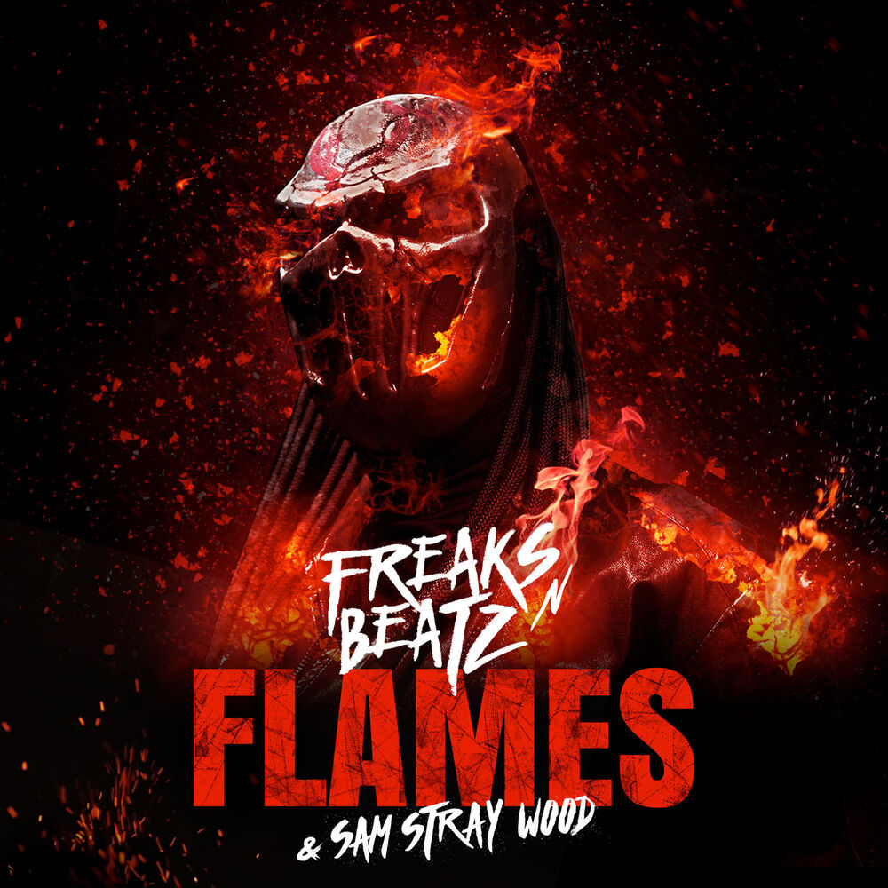 Picture of Flames