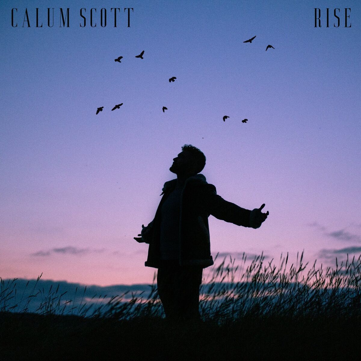 Album cover of Rise
