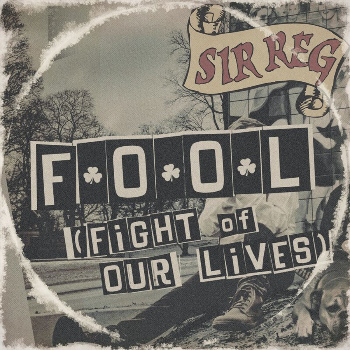 Album cover of Fool (Fight of Our Lives)