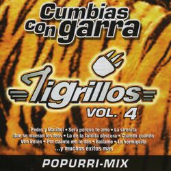 Cover of Cumbias con Garra Vol. IV *