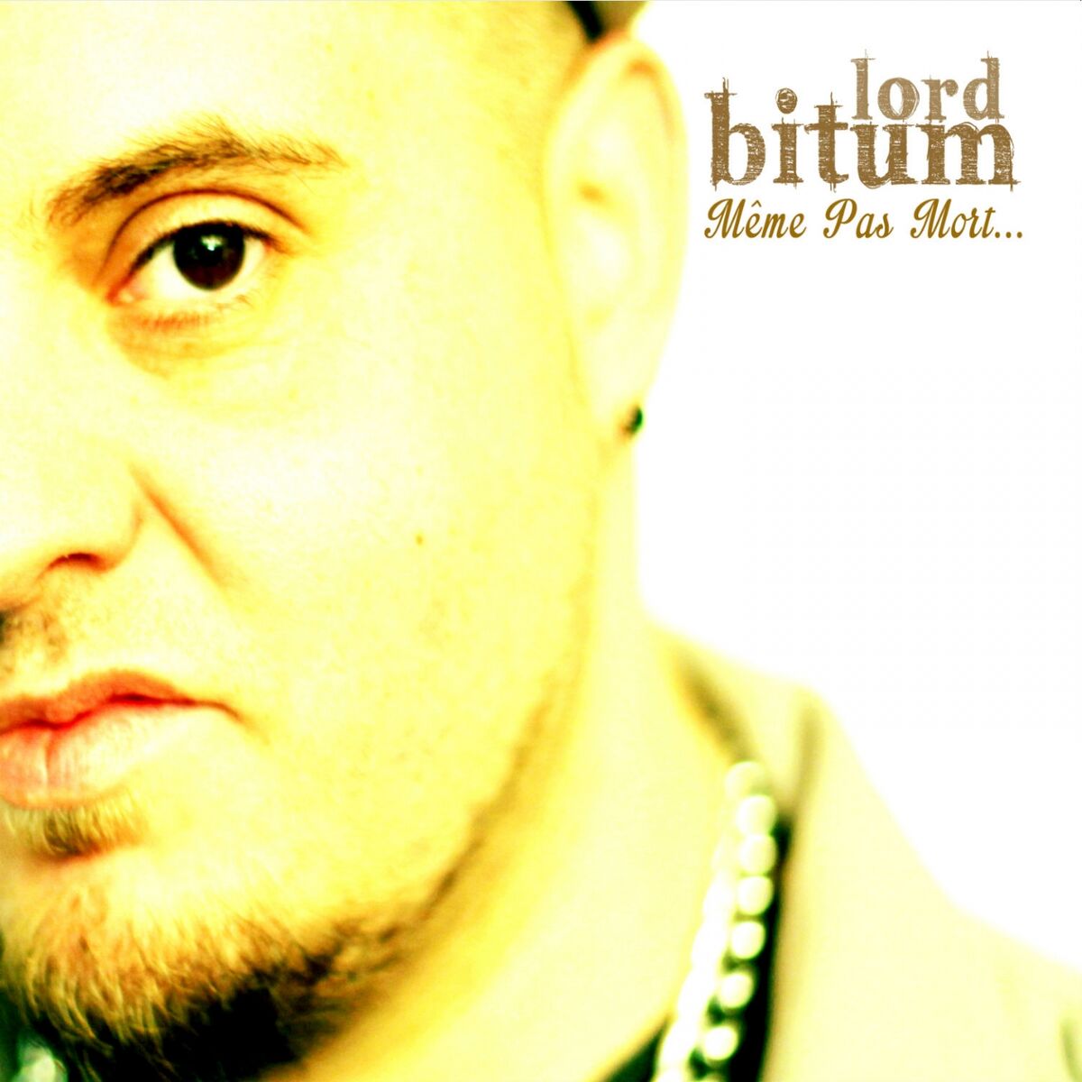 Album cover of Même pas mort