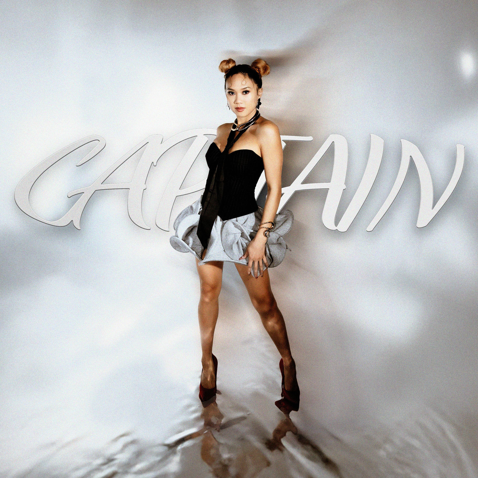 Album cover of Captain