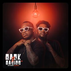 Cover of Back 2 Basics